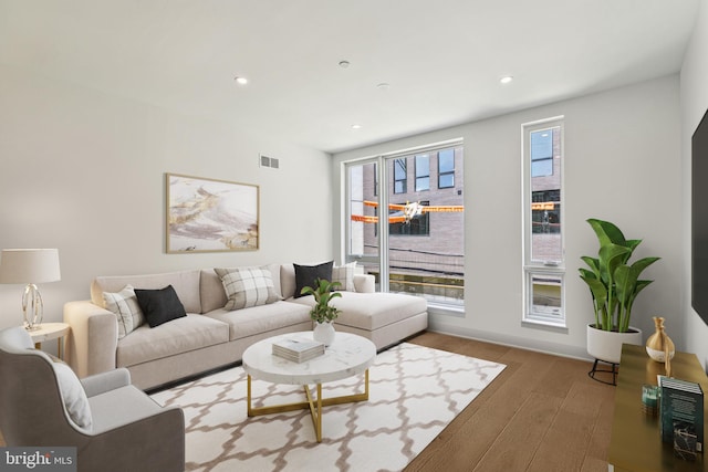 living room with wood-type flooring