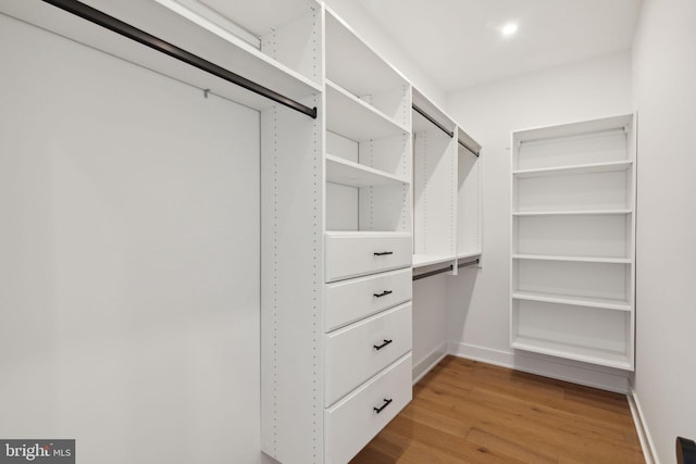 spacious closet with light wood-type flooring