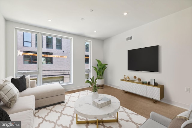 living room with hardwood / wood-style flooring