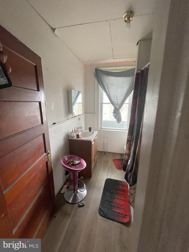 bathroom with wood-type flooring and vanity