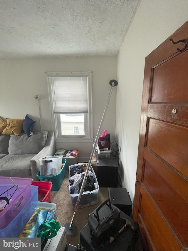 interior space with carpet flooring and a textured ceiling