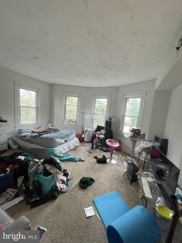 misc room with carpet flooring and a textured ceiling