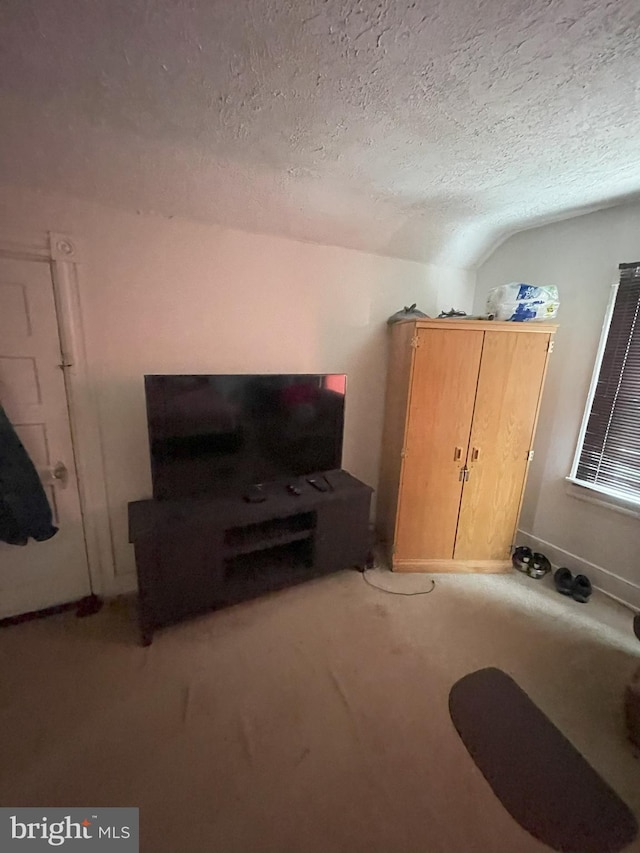 carpeted living room with lofted ceiling and a textured ceiling