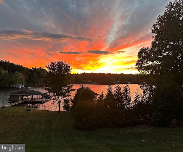 water view featuring a boat dock