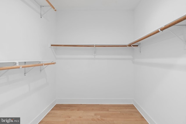 spacious closet featuring hardwood / wood-style floors