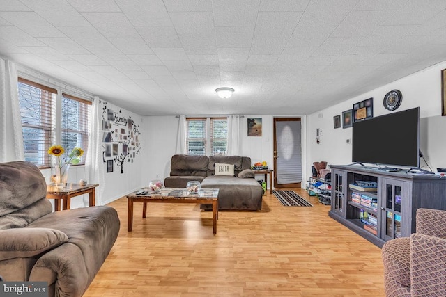 living room featuring light wood-type flooring and a wealth of natural light