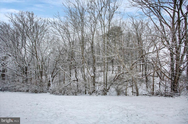 view of snowy landscape