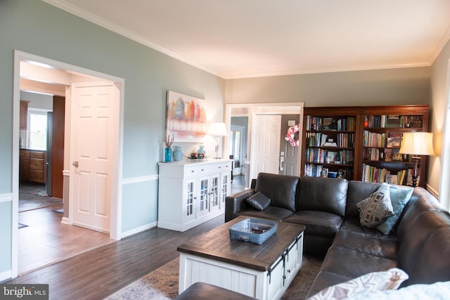 living area featuring ornamental molding, baseboards, and wood finished floors