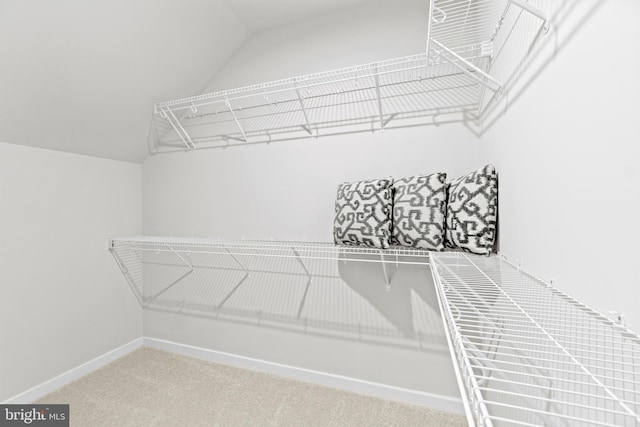 spacious closet featuring vaulted ceiling and carpet flooring