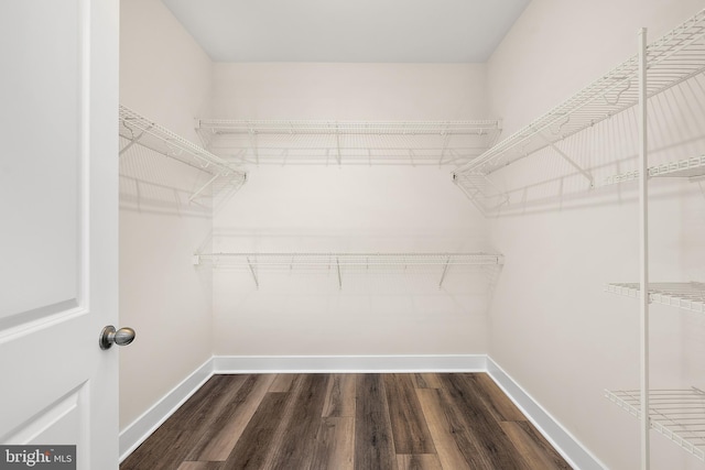 walk in closet featuring dark wood finished floors