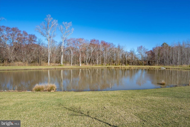 water view with a forest view