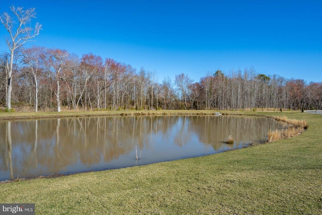 water view featuring a wooded view