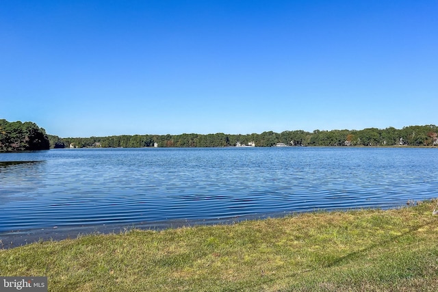 view of water feature