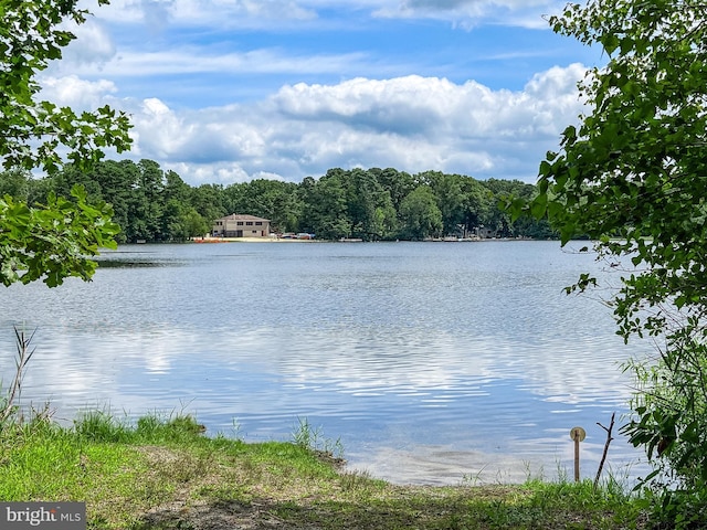 view of water feature