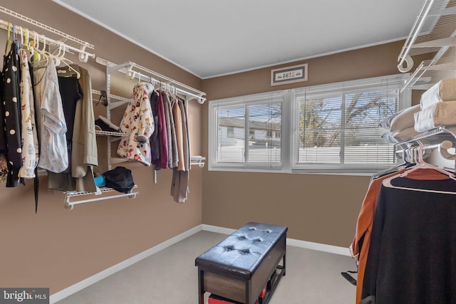 view of walk in closet