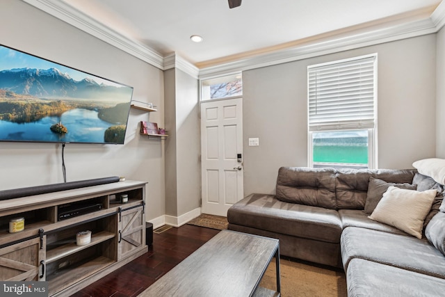 living area featuring dark wood-type flooring, crown molding, and baseboards