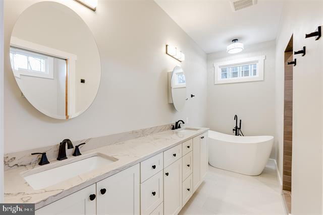 bathroom featuring vanity, a healthy amount of sunlight, and a washtub