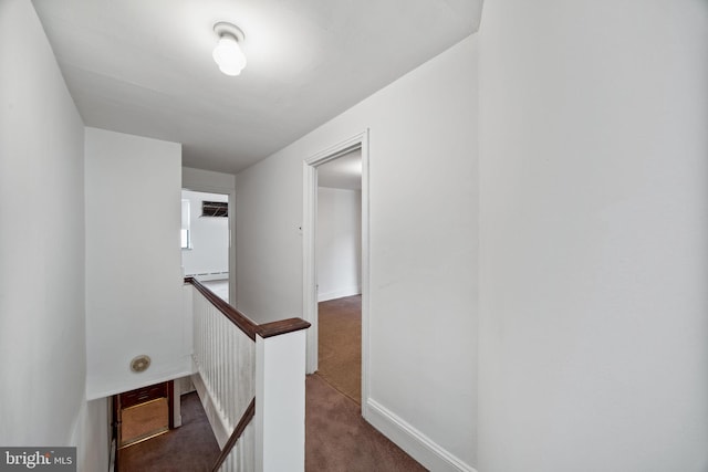 hall featuring a baseboard radiator and carpet