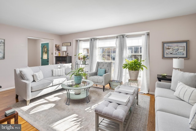 living room with wood finished floors, a wealth of natural light, and baseboards