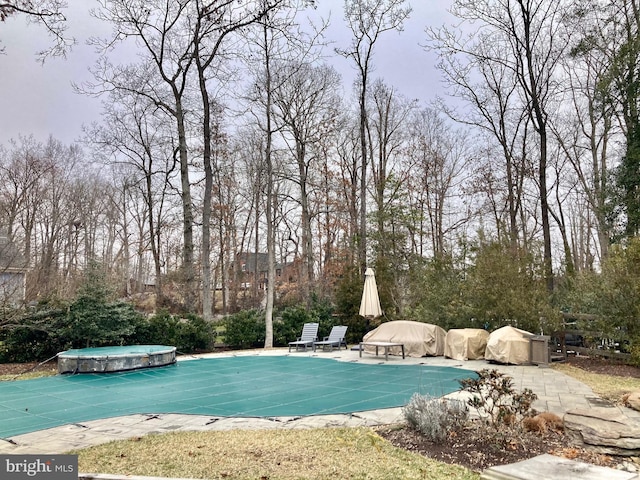 view of pool featuring a patio area