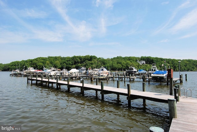 view of dock featuring a water view