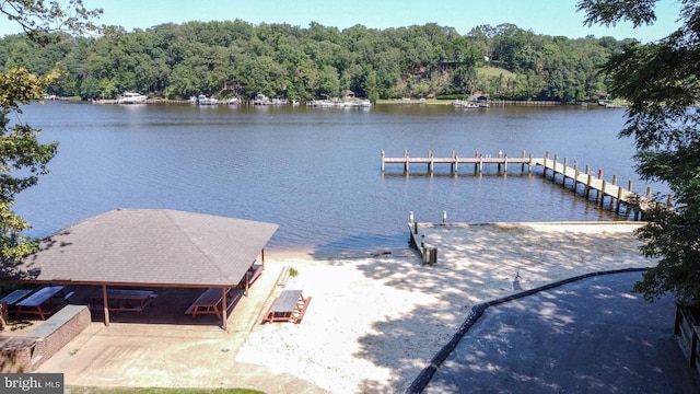 dock area with a water view