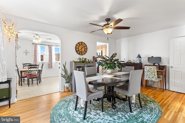 dining room with a ceiling fan, arched walkways, and light wood-style flooring