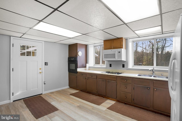 kitchen featuring a drop ceiling, light wood-style flooring, white appliances, a sink, and light countertops