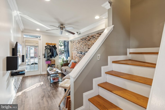 staircase with ornamental molding, ceiling fan, and wood-type flooring