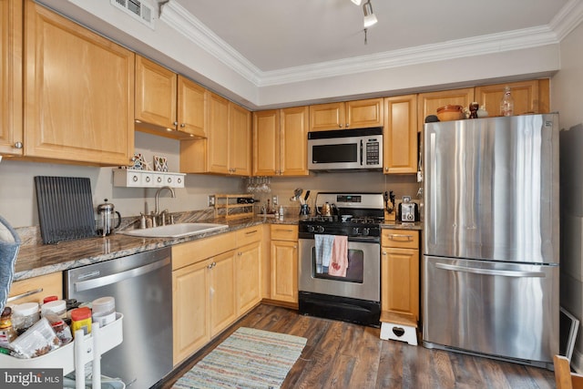 kitchen featuring sink, dark wood-type flooring, appliances with stainless steel finishes, and crown molding