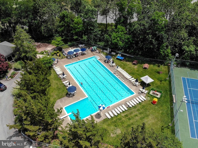 view of swimming pool featuring a lawn, a diving board, and a patio area