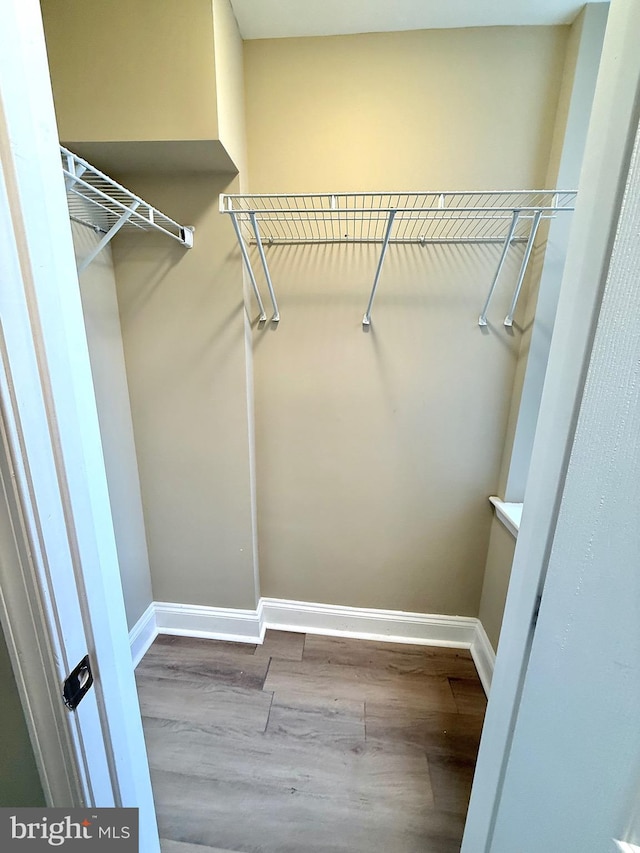 spacious closet with hardwood / wood-style flooring