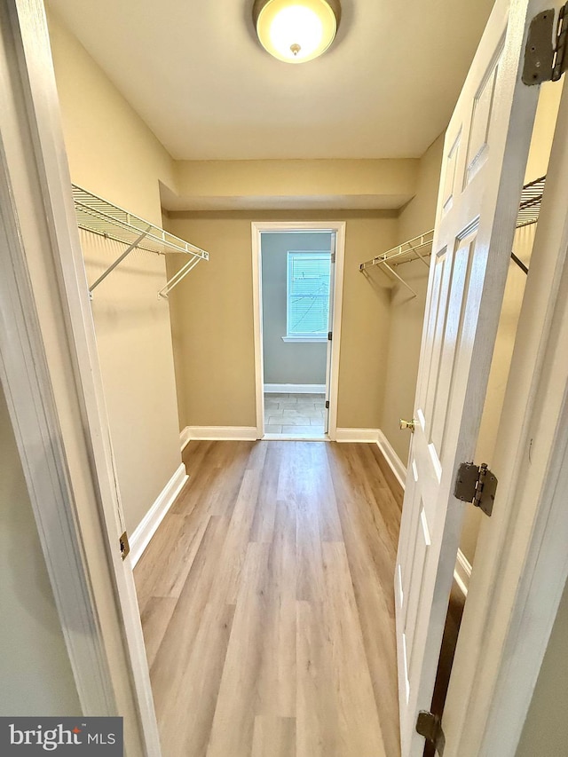 walk in closet with light wood-type flooring