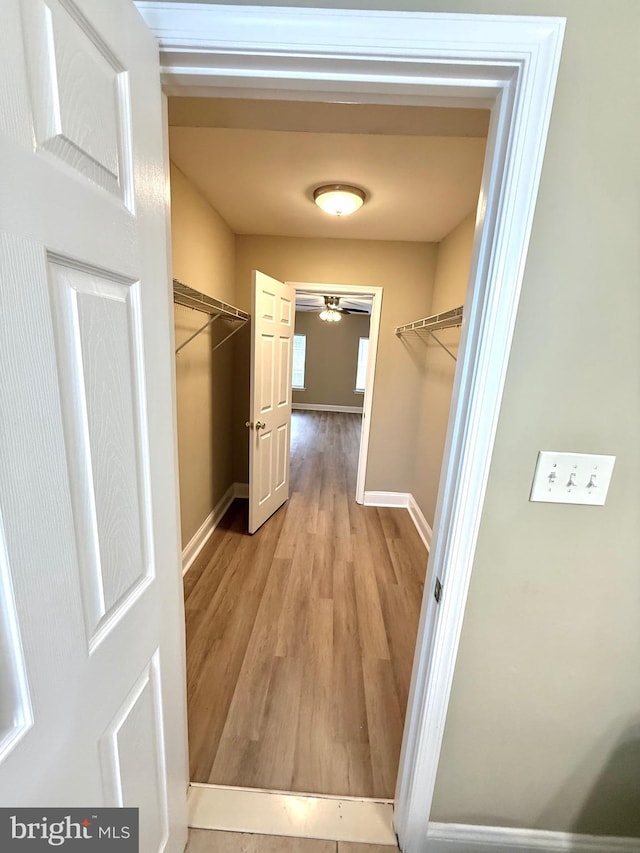 spacious closet with light hardwood / wood-style flooring