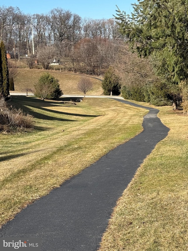 view of property's community with a yard