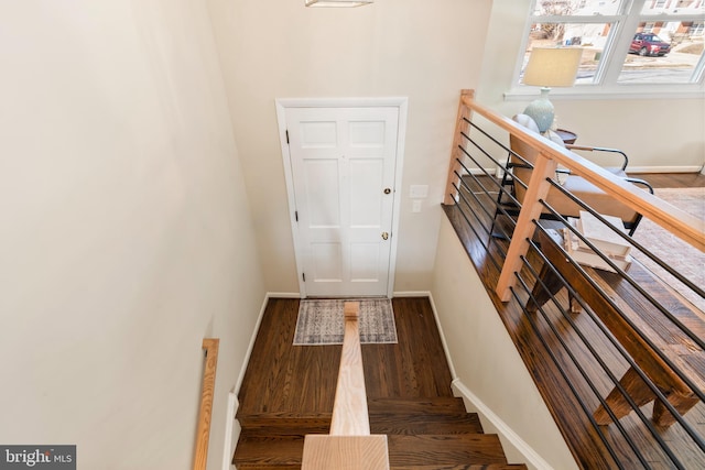 stairway featuring hardwood / wood-style flooring