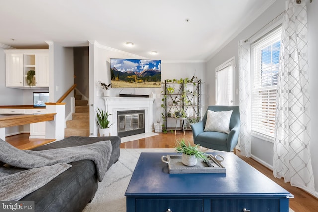 living room with plenty of natural light, crown molding, and wood finished floors