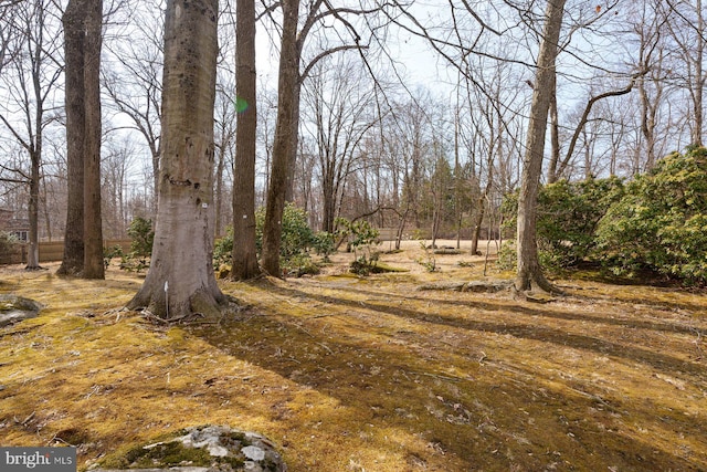 view of local wilderness