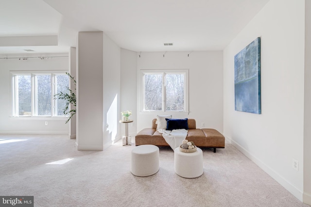 living area with visible vents, carpet, a wealth of natural light, and baseboards