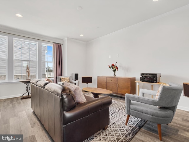 living room featuring crown molding and light hardwood / wood-style flooring