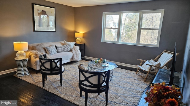 living room with wood-type flooring