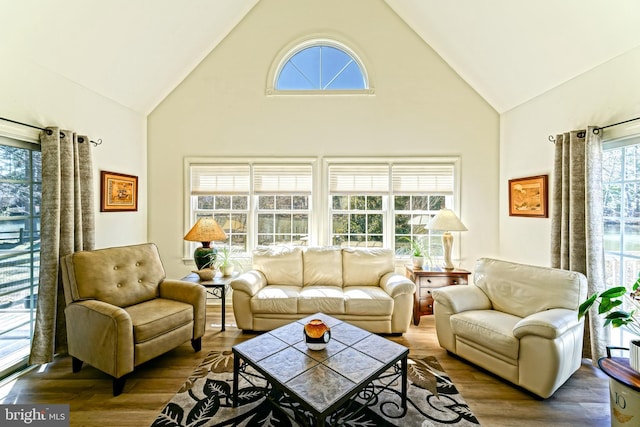 living area featuring high vaulted ceiling and wood finished floors