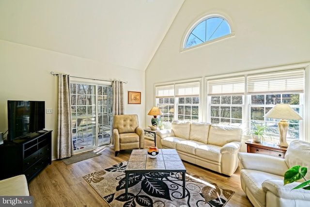 living room featuring wood finished floors and high vaulted ceiling