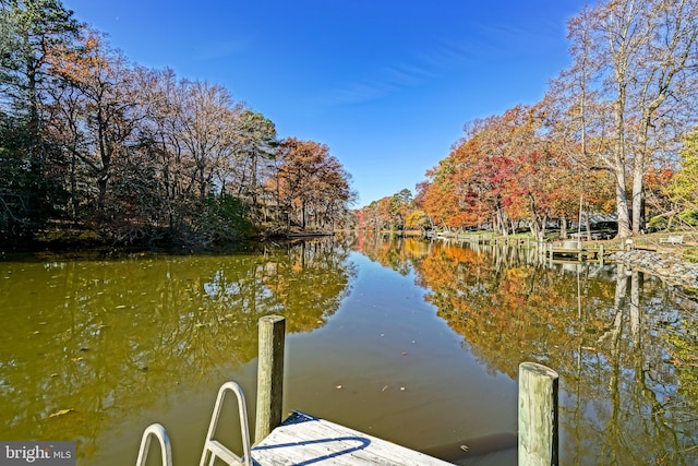 dock area with a water view