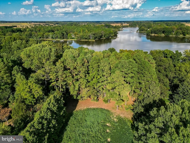 Walnut Point Rd, Chestertown, MD 21620