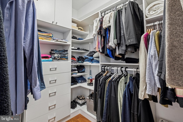 spacious closet featuring wood finished floors