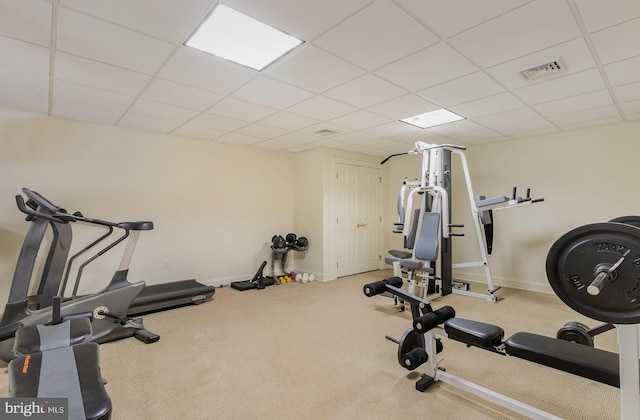 workout area featuring carpet and a drop ceiling