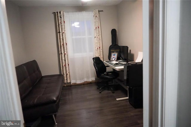 office area featuring dark hardwood / wood-style flooring