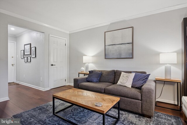 178 Elephant Rd Unit B21, Dublin, PA 18917 - living area featuring wood finished floors, baseboards, and crown molding