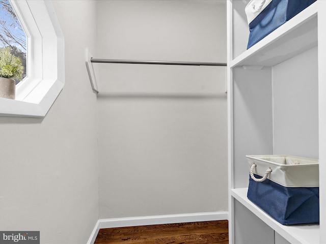 spacious closet featuring wood finished floors